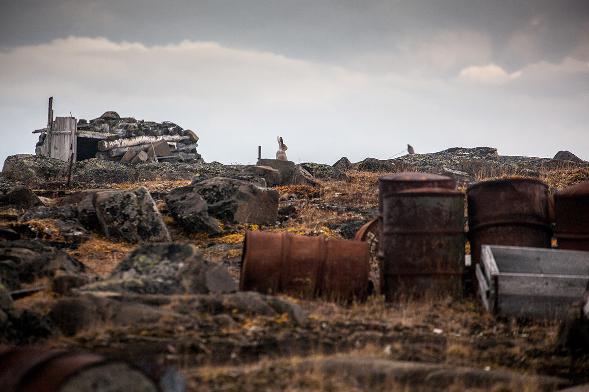 Сбор, складирование и последующий вывоз металлолома, оставленного с советских времен на территориях арктической зоны.
