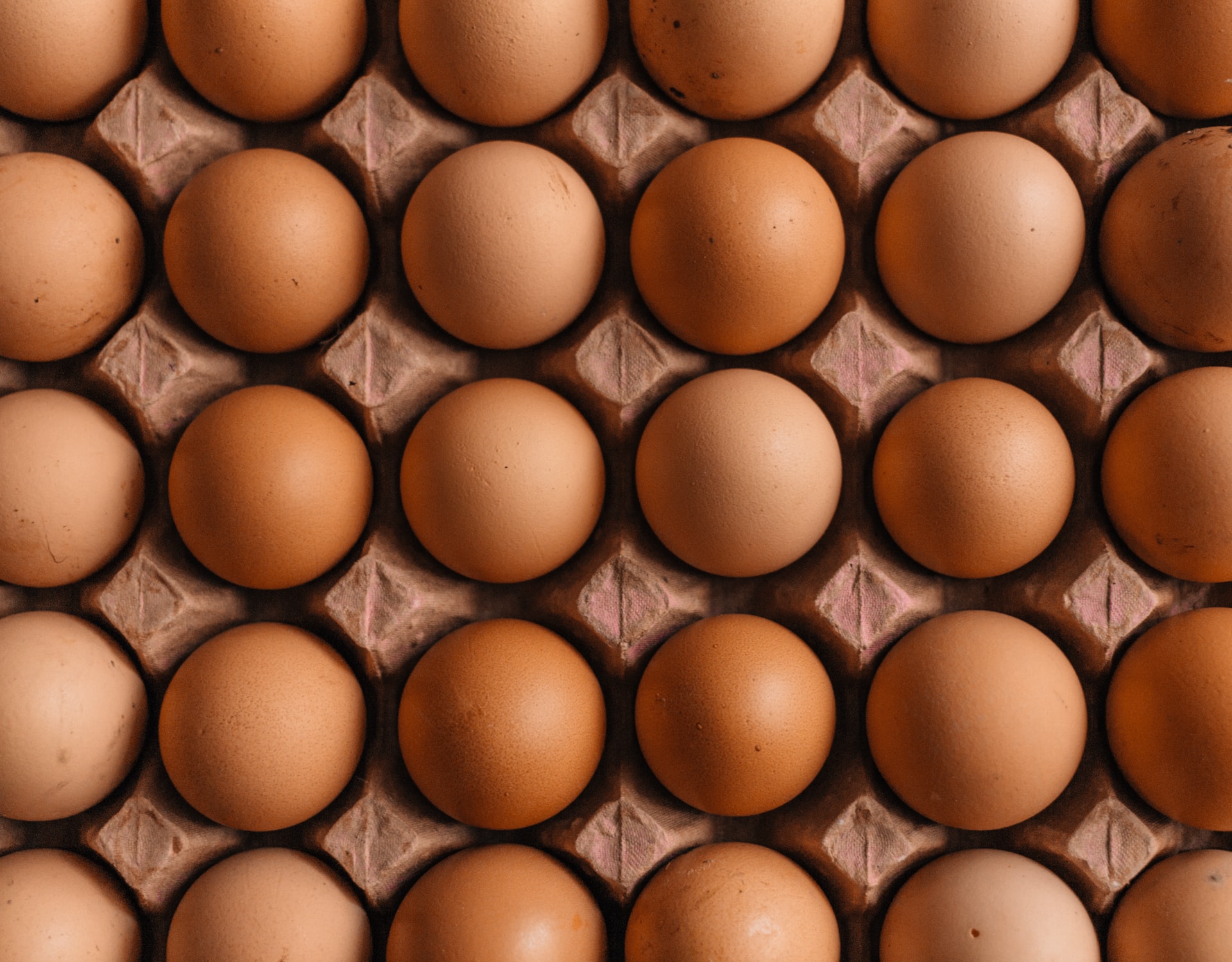 Жители Певека отведают 1,2 миллиона бюджетных яиц с местной фермы