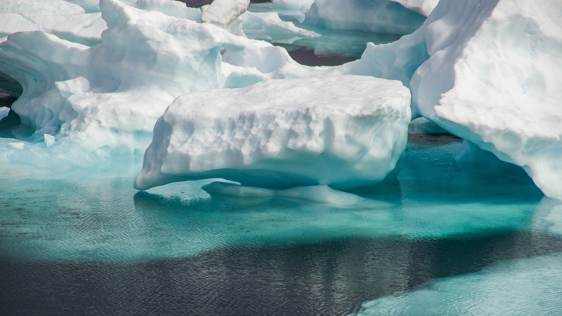 Арктика сегодня: льготы, люди и законы