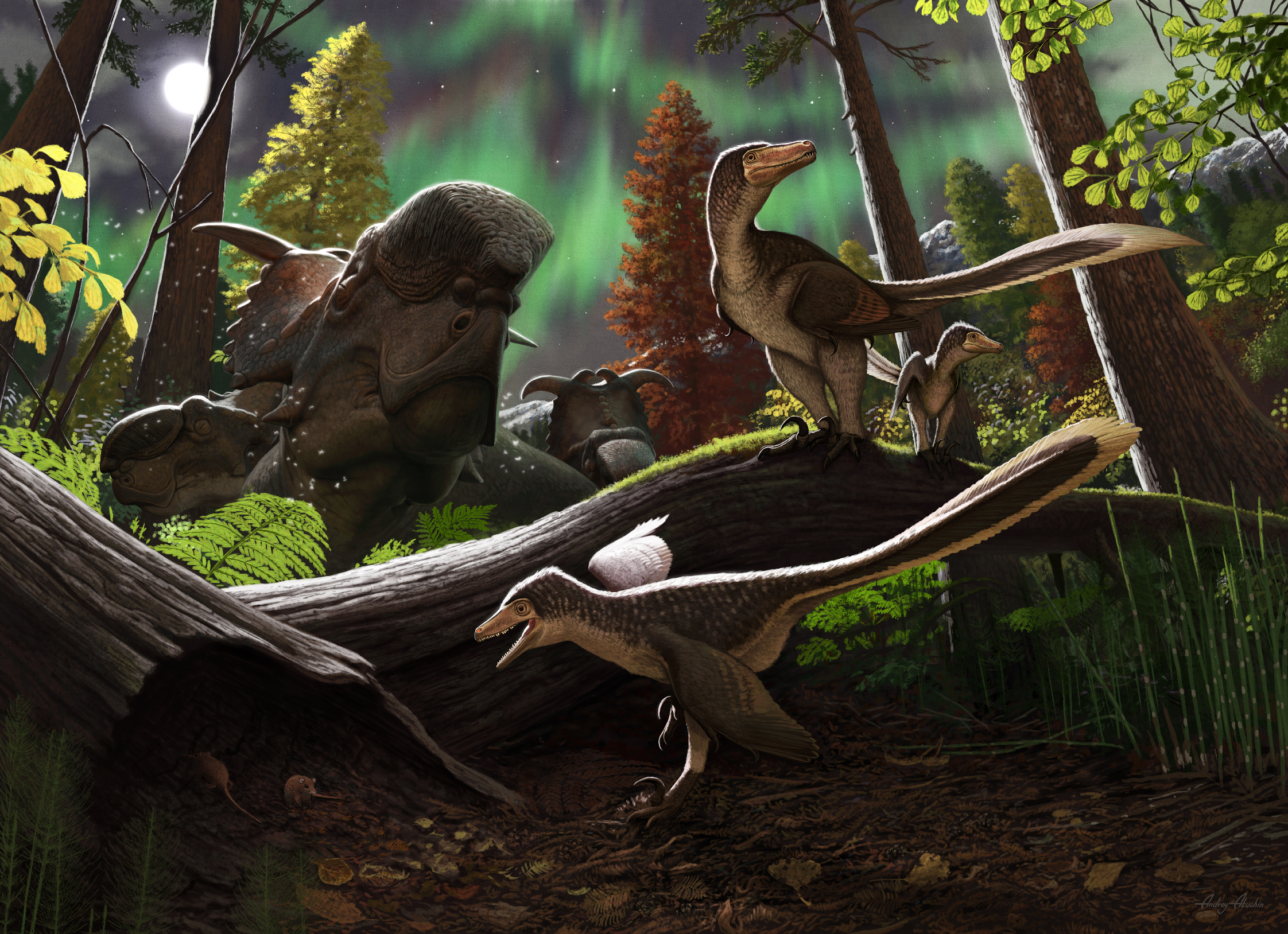 Обнаружены уникальные останки арктического динозавра