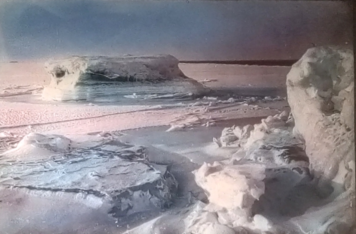 22 ноября – 95 лет музею Арктики и Антарктики в Санкт-Петербурге, и в Москве проходит выставка его первого директора – легендарного Н. Пинегина