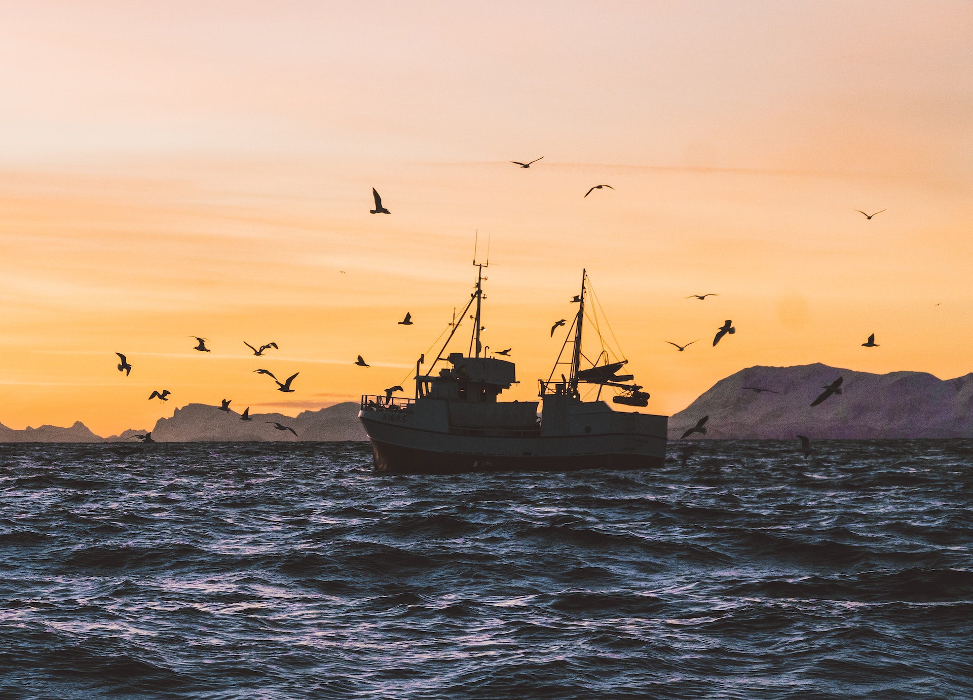 Норвежским рыбакам закрывают добычу краба раньше обычного