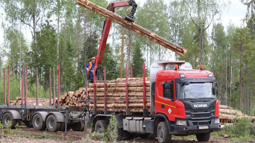 В Архангельской области хотят развивать деревянное домостроение