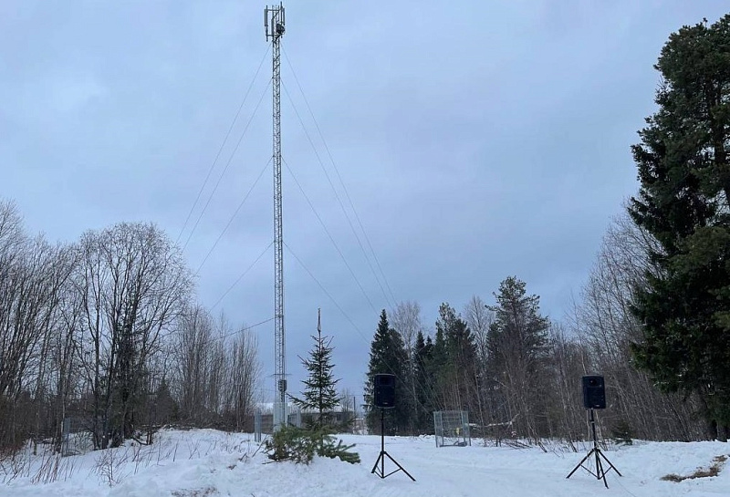 Мобильная связь и интернет пришли в удаленную деревню Архангельской области
