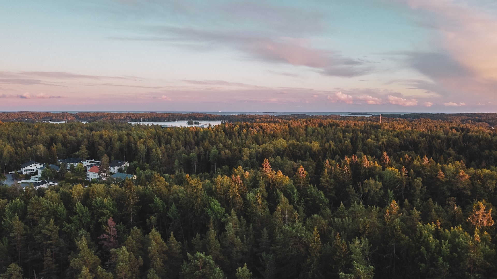 На севере Финляндии восстанавливают древние болота