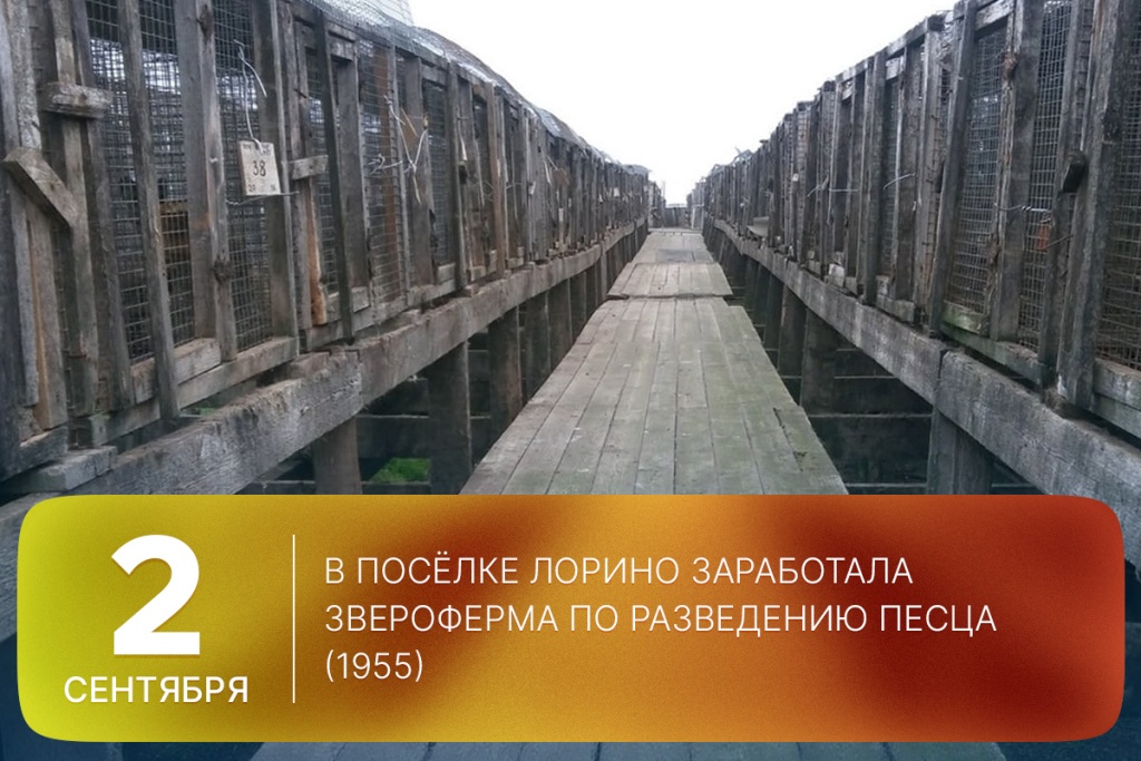 2025-09-02-2-SITE.jpg