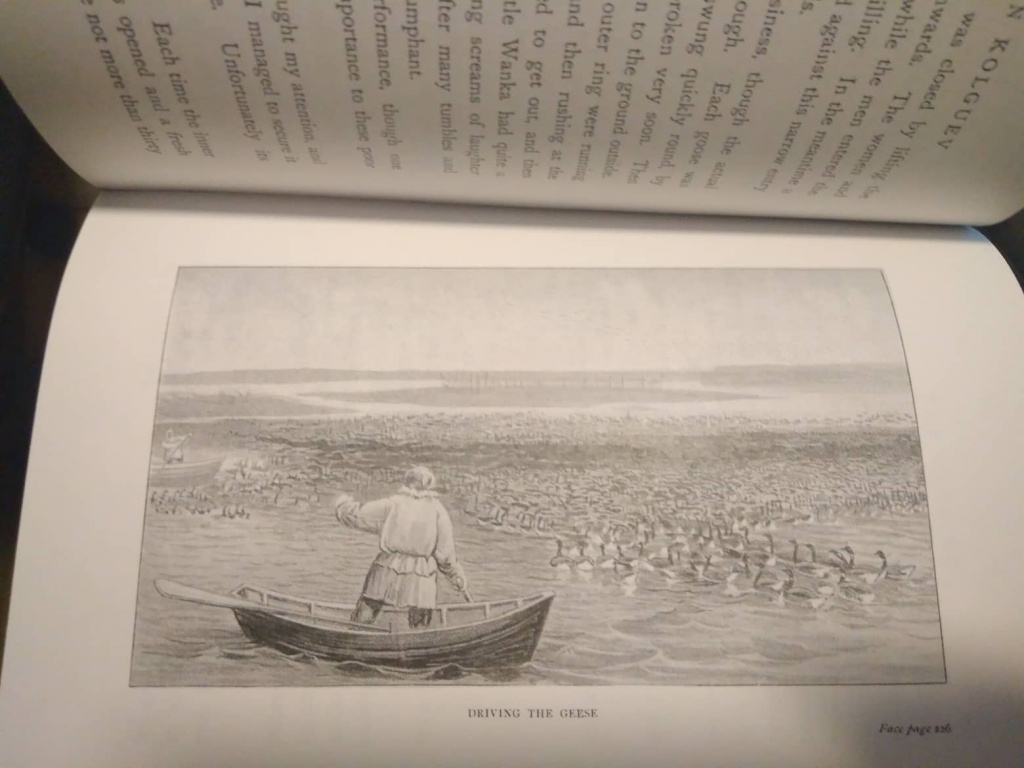 Отлов линных чёрных казарок ненцами, иллюстрация из книги Тревора-Бетти