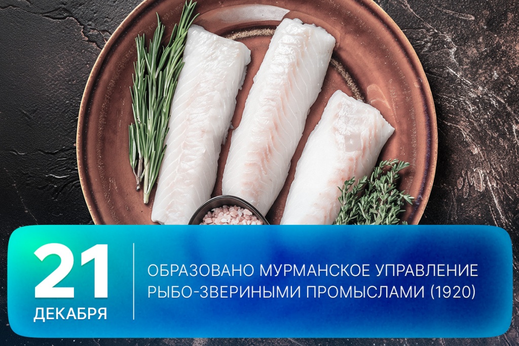 2025-12-21-1 SITE.jpg