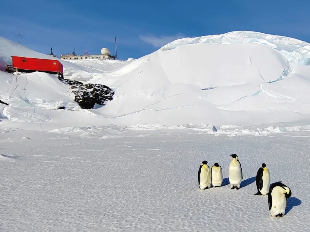 Снимок экрана 2026-04-23 в 20.16.27.png