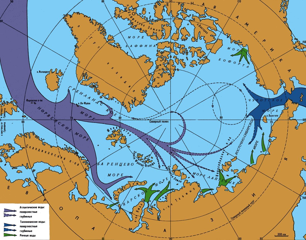 Карта морских течений Северного Ледовитого океана. Морские течения Северного Ледовитого океана. Течения Карского моря. Гольфстрим течения Северного Ледовитого океана.