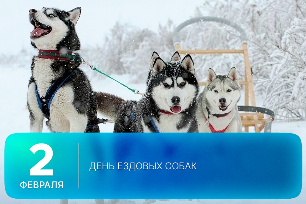 2026-02-02-3 SITE.jpg