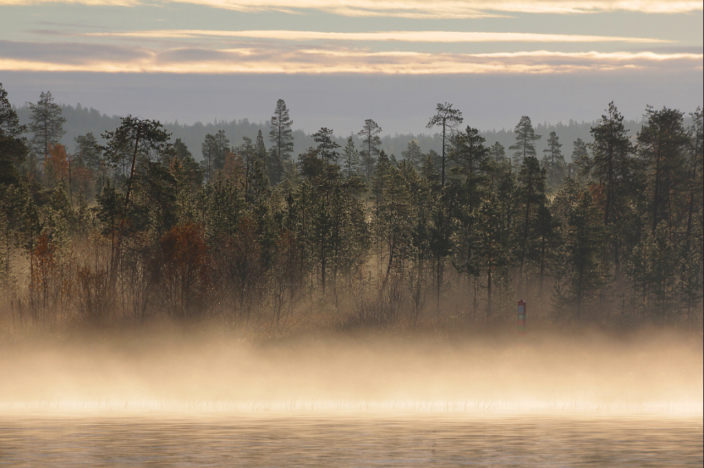 Река Паз, рассвет на русской стороне, фото Максимиллиана Бузуна