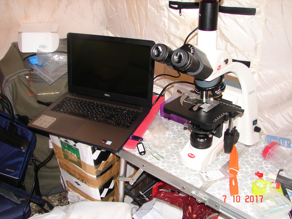 Полевая лаборатория в палатке