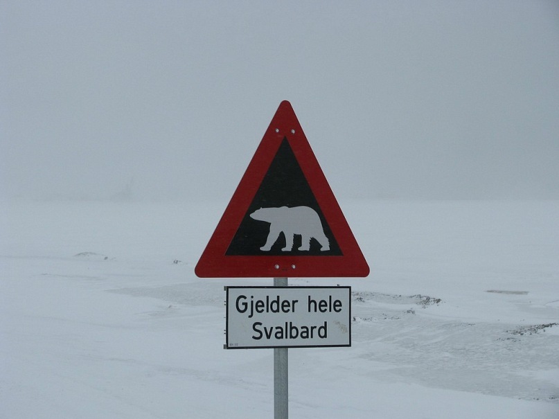Знак на Шпицбергене: белые медведи могут быть опасны.