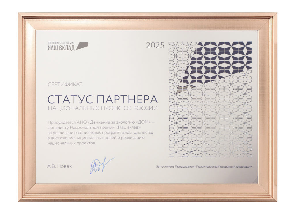 Сертификат ДОМ в рамке.png