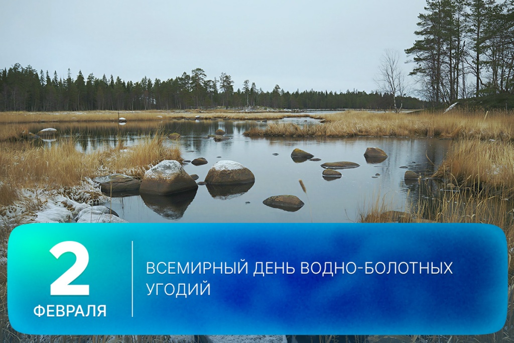 2026-02-02-2 SITE.jpg