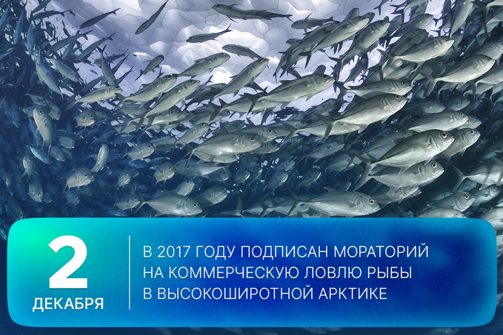 2025-12-02-1 SITE.jpg 2025-12-02-1 SITE.jpg