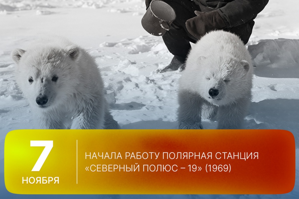 2025-11-07-1 SITE.jpg 2025-11-07-1 SITE.jpg