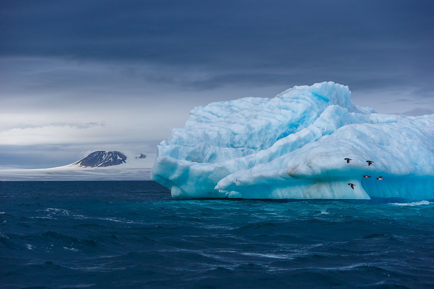 Глобальная бирюза, или Почему от ледников зависит вся планета – GoArctic.ru  – Портал о развитии Арктики