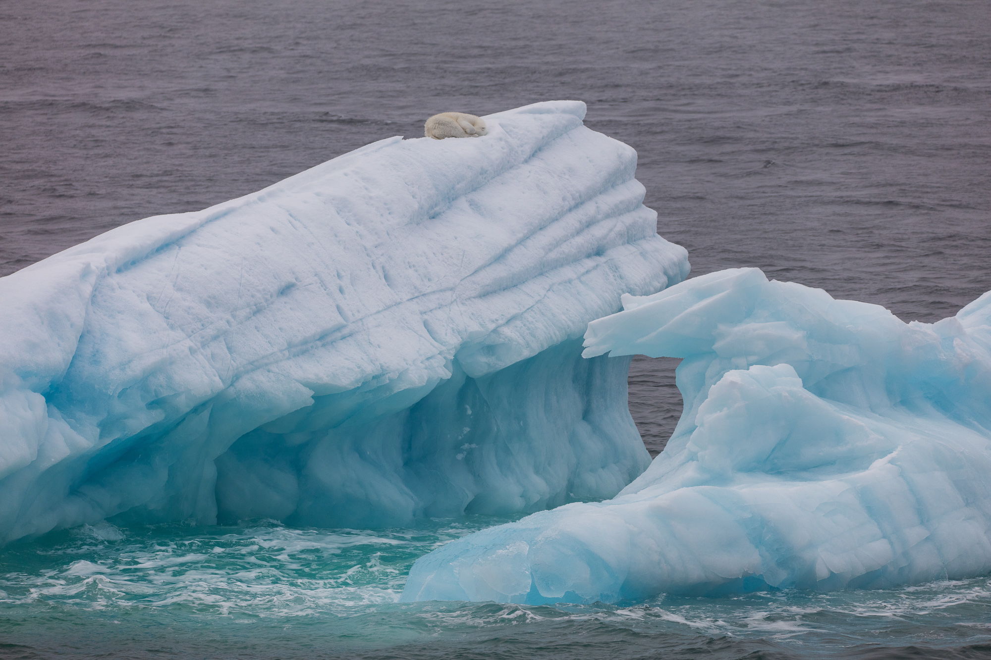 Глобальная бирюза, или Почему от ледников зависит вся планета – GoArctic.ru  – Портал о развитии Арктики