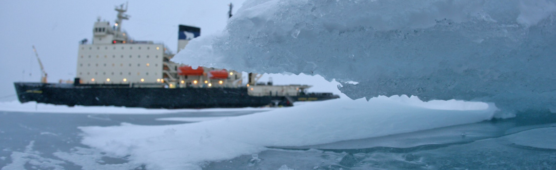 Замороженное сотрудничество: о рисках приостановки работы Арктического совета