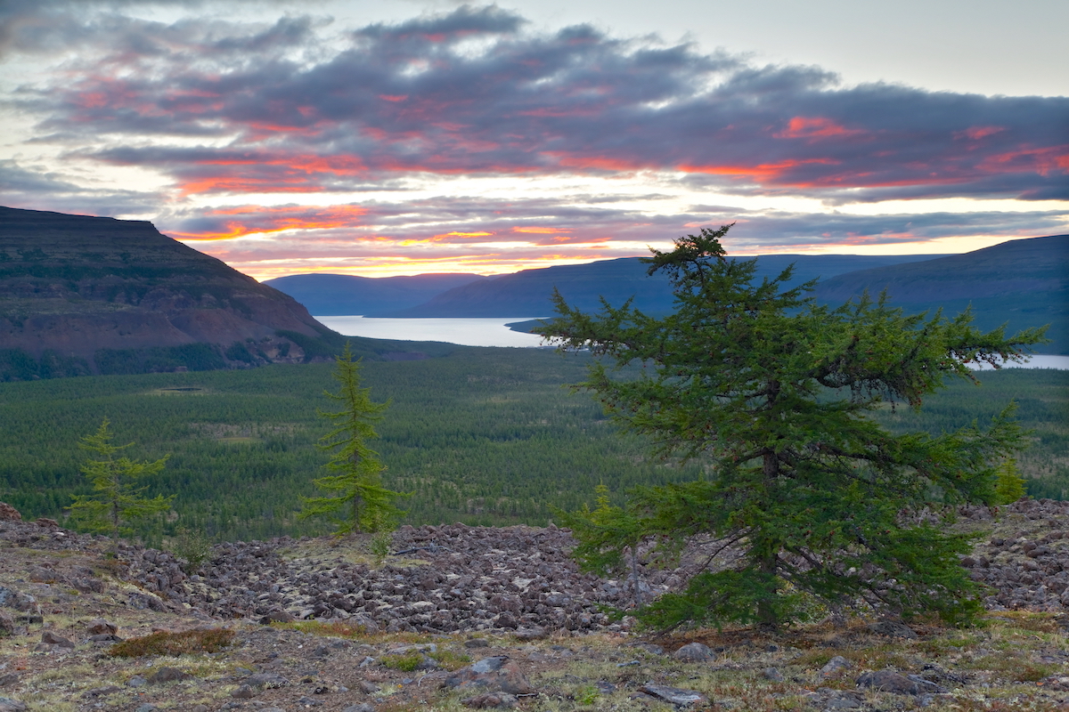 Чем занимаются научные сотрудники в трех заповедниках – «Таймырском», «Путоранском» и «Большом Арктическом»?