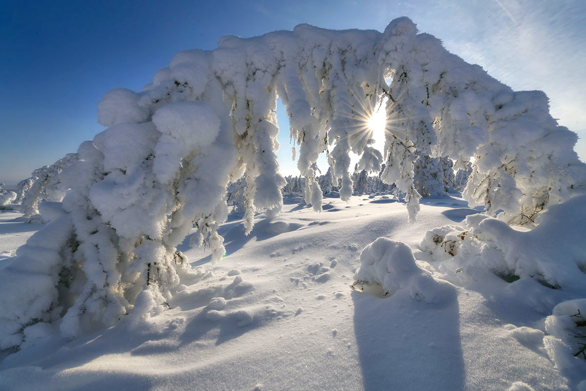54% россиян привлекает путешествие в Арктику – по результатам нового исследования платформы «Дзен»