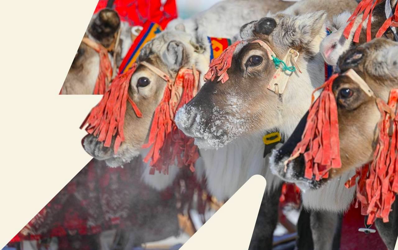 Туристический портал Ямала предлагает до 10 февраля выиграть поездку на главный праздник народов Севера – День оленевода