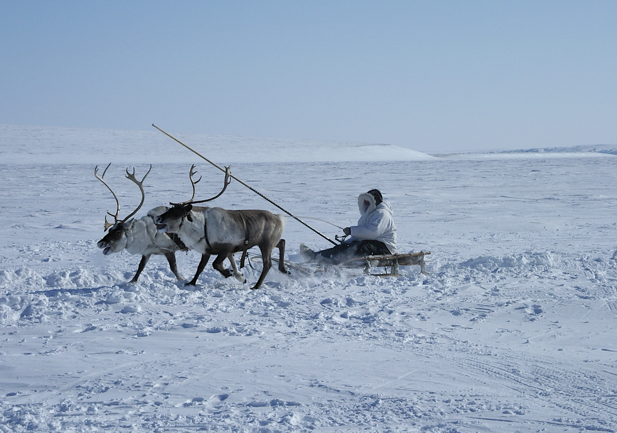 На Чукотке с 9 по 14 февраля состоится масштабный Форум работников традиционных отраслей